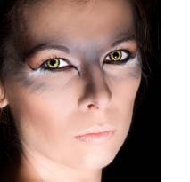  Palette on Halloween Eye Makeup   Dark And Mysterious Looks